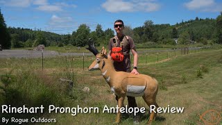 Rinehart Antelope Archery Target Review [upl. by Novyart]