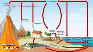 Il ciclo del carbonio [upl. by Bena]