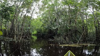 ULAR DAN BAUNG SUNGAI HITAM JADI SANTAPAN PANCING RAWAI KETIKA AIR KEMBALI SURUT [upl. by Isdnyl]