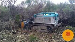 Kundenvideo  PTH MicroCrusher PTO auf MORITZ Raupe in den Pyrenäen [upl. by Frantz960]