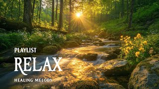 Relaxing Piano Music 🌿 Relaxing MUSIC for Focus  The most beautiful amp piano pieces [upl. by Vevay]