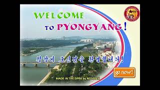 Pyongyang racer menu OST part of [upl. by Batholomew569]