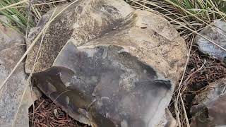 TEXAS CELESTITE CRYSTAL HUNTING [upl. by Ahseekat]