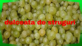 dulceata de struguri albi cu sirop de menta pe gustul fiecăruia 12 [upl. by Mireille]