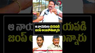 బయపడిపోయిన వైసీపీ నాయకులు👌🔥cmchandrababu ysjagan apliquor appublictalk2024 apliquornews leo [upl. by Airdnalahs]