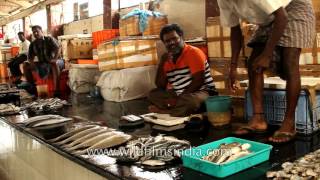 Local fish market in Vanagaram  Chennai [upl. by Jarrad]