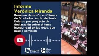 Informe  Resumen de sesión en Cámara de Diputados Audio de Sonia Delarco [upl. by Guy]