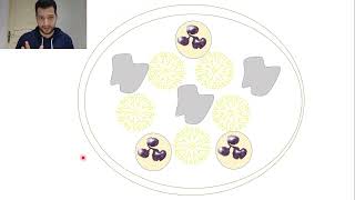 28Actinomyces israelii [upl. by Enahsed443]