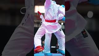 Best of wkf karate kumite 😱 karate kumite wkf martialarts mma skarate [upl. by Anaibaf406]