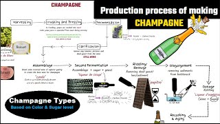 Champagne making process  champagne vs sparkling wine  How to make sparkling wine [upl. by Krissy]