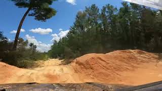 Ocala National Forest  Blue Sink SXS Ride [upl. by Adiel561]