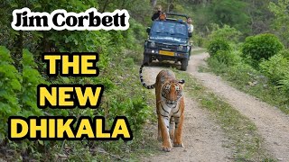 Jhirna is the new Dhikala  Jim Corbett National Park Best Zone  Jungle Safari  Tiger Sighting [upl. by Rexferd633]