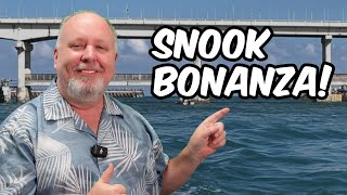 Sebastian Inlet Fishing Report BEST SNOOK ACTION [upl. by Nyvar]