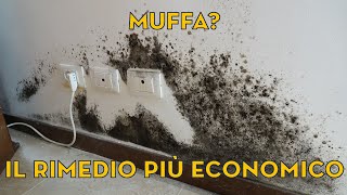 Muffa la soluzione più economica [upl. by Aevin]