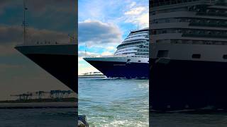 MS Rotterdam 🛳️⚓️like share comment subscribe cruiseship cruise vacation shorts short wow [upl. by Santoro]