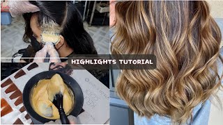 How to Golden Blonde Highlights Full Tutorial  Easy Step By Step Hair Coloring Guide [upl. by Hartmunn]