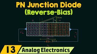 PN Junction Diode ReverseBias Condition [upl. by Trebla]