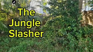 Years Of Neglect Turned This Yard Into A Jungle yardtransformation asmr [upl. by Kirschner942]