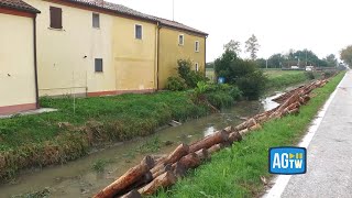 Maltempo Ferrara si prepara alla piena del Po fissaggio dei pali per rafforzare gli argini [upl. by Jaclin]