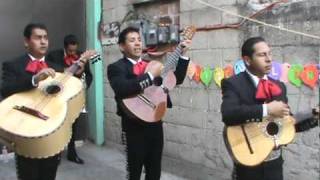 CAMINOS DE GUANAJUATO CON EL quotMARIACHI SOL Y OROquot [upl. by Assilram]