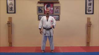 KARATE EĞİTİM SERİSİ SELAMLAMA 01 [upl. by Ettereve]