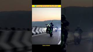 Crazy Whilee on Zx10r 😨😱🤯shorts viral whilee video trending jannustuntz valourrider [upl. by Eisserc]