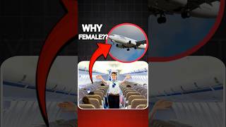 Aeroplane ✈️ Mai Female Staff Hi kyu Hoti Hai ❓facts shorts factinhindi amazingfacts [upl. by Bores]