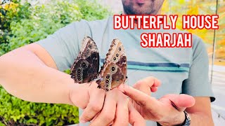 Butterflies നെ കയ്യിലെടുത്തിട്ടുണ്ടോ😱 Butterfly house in Al Noor Island Sharjah Butterflygarden [upl. by Truman]