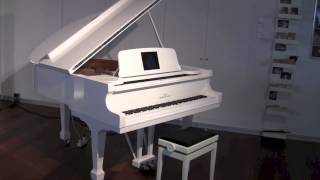 Magic Bechstein Grand Piano with Selfplayingsystem [upl. by Huttan482]