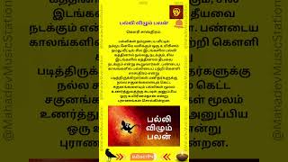 Palli Vilum Palan  பல்லி விழும் பலன் [upl. by Nylecsoj]