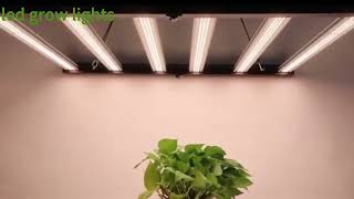 640w 800w 1000w 1200w 1500W Dimmable Led Grow Lights 1000w Full Spectrum For Indoor Plants [upl. by Lleznov]