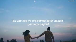 Lewis Capaldi  Someone You Loved Türkçe Çeviri [upl. by Annad]