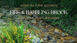 🌿 ASMR Nature Sounds 🔥 Fire amp Babbling Brook 🌿 Crickets  Frogs  Gecko  Birds Sounds 🪶🎶🍁☘️ [upl. by Ltsyrk]