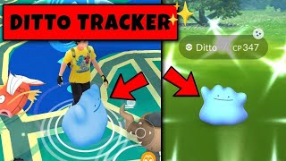 New Trick To Catch Shiny Ditto in Pokemon Go  Pokemon Go New Trick [upl. by Polito118]