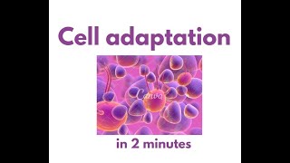 Cellular adaptation in under 2 mins [upl. by Weil144]