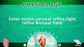 Pract 3 Color vision Corneal reflex light reflex and visual field Physiology [upl. by Une]