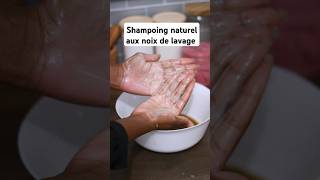 Shampoing naturel aux noix de lavage [upl. by Adriell]