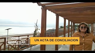 TUTORIAL COMO REDACTAR UN ACTA DE CONCILIACION Con plantilla y modelo [upl. by Thomasina270]