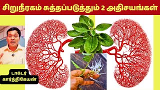 இந்த 2 உணவுகள் சிறுநீரகத்தை சுத்தப்படுத்தும் அதிசயங்களா  2 kidney detox foods [upl. by Giles242]