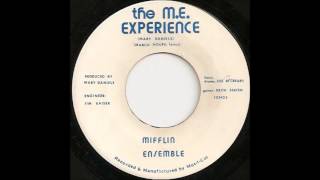 Mifflin Ensemble  The ME Experience [upl. by Ede164]