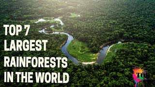 Best Relaxing Jungle Sounds Tropical Amazon Rainforest With Distant Thunder 3 Hours Long  Chillout [upl. by Ylen94]