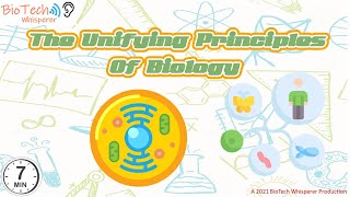 Learn about Unifying Principles of Biology in 7 Minutes [upl. by Nnaasil]