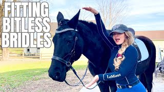 Understanding Bitless BridlesConnect With Your Horse On Another Level [upl. by Kaiser]