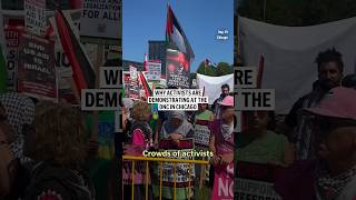 Why activists are demonstrating at the DNC in Chicago [upl. by Sybilla766]