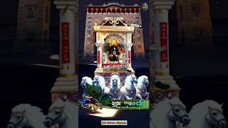 Gyaras Ki Hai Raat shyam trending viral shyambabatemple viralvideo shorts yt Kupdeepbawa [upl. by Mellisent]