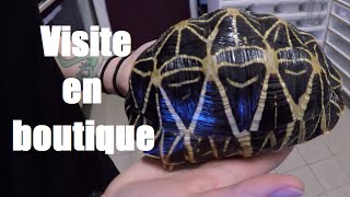 Quelques reptiles de la boutique Exotic factory [upl. by Bremser]