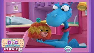 Love Your Pets  Doc McStuffins Pet Vlog  Disney Junior [upl. by Werdn]