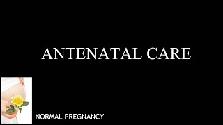 Antenatal Care [upl. by Evelunn51]