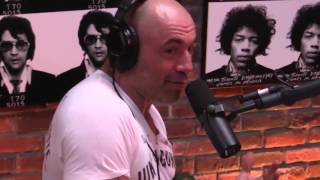 Joe Rogan on Michael Bisping vs Anderson Silva outcome  discusses steroids accusations [upl. by Wetzell192]