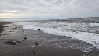 Metal Detecting on the Beach in Alaska  Nugget Noggin [upl. by Marjie]